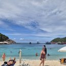 지3 MOTOR SERVICE | 코사무이 스노쿨링 &amp; 다이빙 후기｜직접 해보고 느낀 현실 리뷰 (코타오-코낭유안)