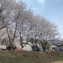 용인반딧불캠핑장 이미지