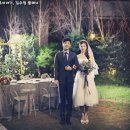온리베스트 Daum카페
