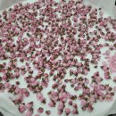 꽃차 소믈리에 취미반 이미지