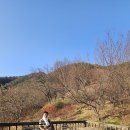 향초목원 이미지