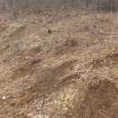 정위농장 이미지