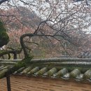 양지식당 - 시흥시 | 양지식당