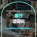 다원메디팜 네이버블로그