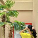 버거베이 이미지