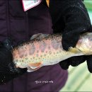 겨울가볼만한곳 화천산천어축제-얼음낚시 산천어구이/ 화천관광 이미지