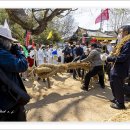 영산줄다리기 축제장에서 이미지