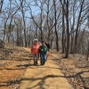 마음수련 | 김포 장기동 허산 봄나들이, 김포 마음수련 명상센터 야외 명상 후기