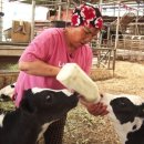 대산목장 이미지