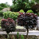 자동차카마을 이미지