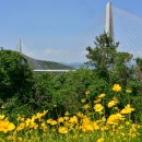 하도 해변 이미지