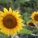 경숙농장 이미지