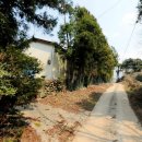 서호동-60 이미지