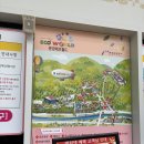 열차와 하루 | 문경 아이와 가볼만한곳 에코월드 후기｜거미열차부터 실내외 놀이터까지 알찬 하루