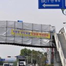 축항로 Daum카페