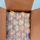 제주달다 | 귤🍊 구매후기 내돈내산 제주달다 5Kg 대과