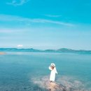 민어사랑 이미지