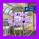 (유)아름다운관광여행사 | 대마도1박2일패키지여행 여행사 / 부산여객터미널 / 부산_일본_1박2일 #대마도 #쓰시마링크호 (쓰시마섬)