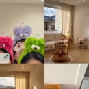 오얏리스테이 이미지