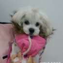 해동물병원 이미지