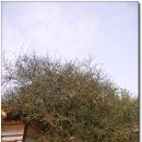 이병기 생가 이미지