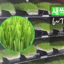 사회적협동조합보리