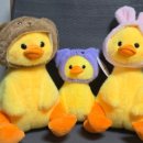 스타게임장(합성점) | [일상] 염색과 데이트 기록