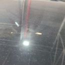 운양동손세차장 이미지