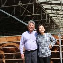 조기현농장 네이버블로그