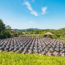 무계 스마트주차장2 이미지