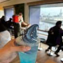 디지털미디어고등학교버스정류소옆 | 일본 오사카 3박 4일 여행(1) / [출국, 가이유칸(해유관), 덴포잔마켓플레이스, 스키야키 호쿠토]