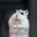 성공을 부르는 명리학 이미지