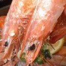 선주로-9 이미지