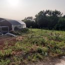 땅나라공인중개사사무소 이미지