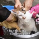 점순 농장 이미지