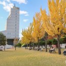 국립한국교통대학교 교통대학원 한국공보뉴스