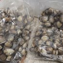 벌교농수산유통 이미지