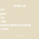 요기독강아지분양고양이분양수원
