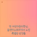 튜닝스토리 - 관악구 봉천로 502 | 첫 서산자동차튜닝, 옵션카스토리에서 느낀 특별한 순간들