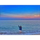 천진해변 이미지