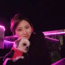 심*룡