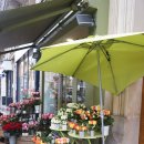 문호약국 이미지