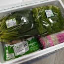 청주 임산부&amp;산모 친환경농산물꾸러미, 오창 농협 ‘꺼리’ 이용방법 및 후기