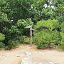 영지농장 이미지