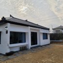 제주 빙새기 이미지