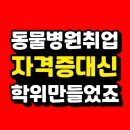 스무살의꿈 동물병원 | 동물병원 취업 자격증보다 학위가 더 유리했던 후기