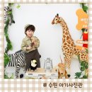 도레미사진관 | 수원 아기사진 스튜디오 화원사진관 6세 주니어 키즈 프로필 촬영