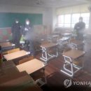 대전느리울초교 이미지