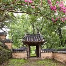 풍경속으로