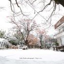 석스튜디오 이미지
